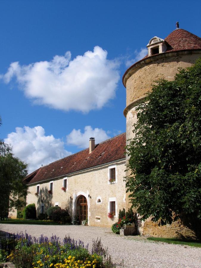 Chateau De Ribourdin Chevannes  Экстерьер фото