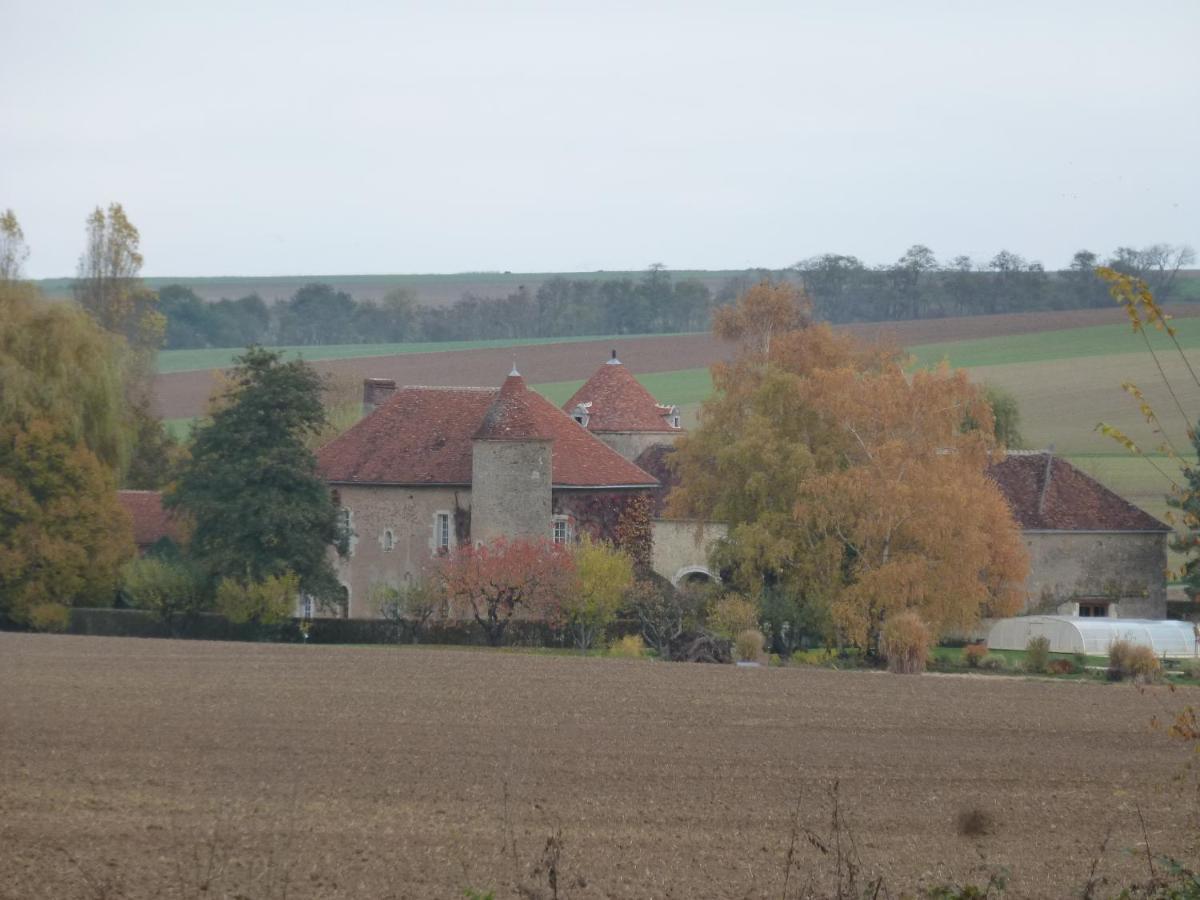 Chateau De Ribourdin Chevannes  Экстерьер фото